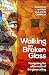 Walking on Broken Glass: Navigating the aftermath of the glass ceiling