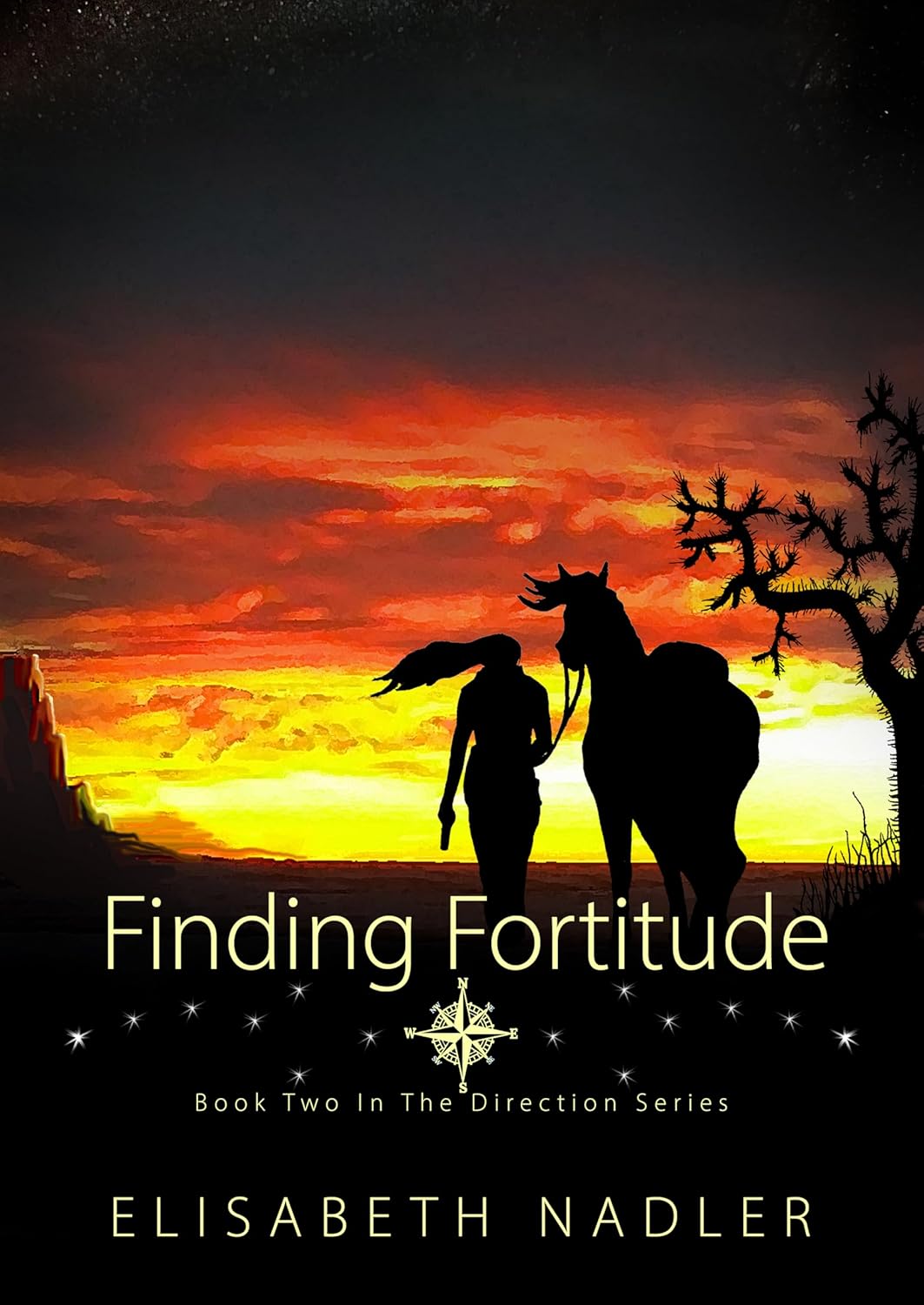 Finding Fortitude (The Direction #2)