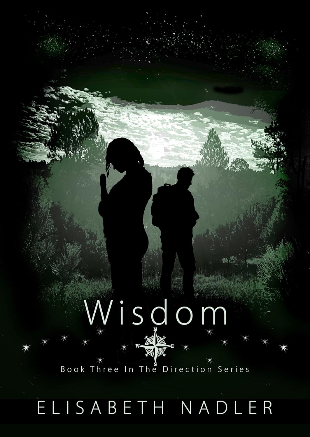 Wisdom (The Direction #3)
