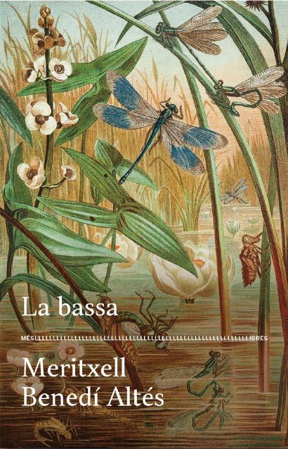 La bassa (Paperback)