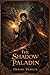 The Shadow Paladin