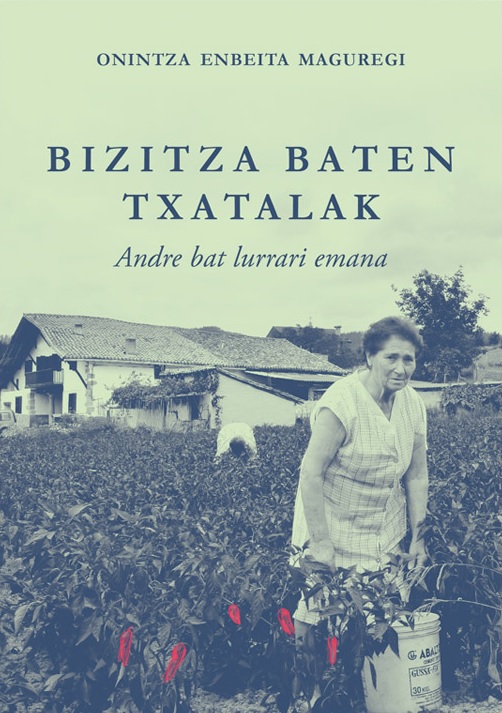 Bizitza baten txatalak (Paperback)