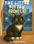 The Little Kitten From L.A