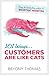 101 Ways Customers Are Like...