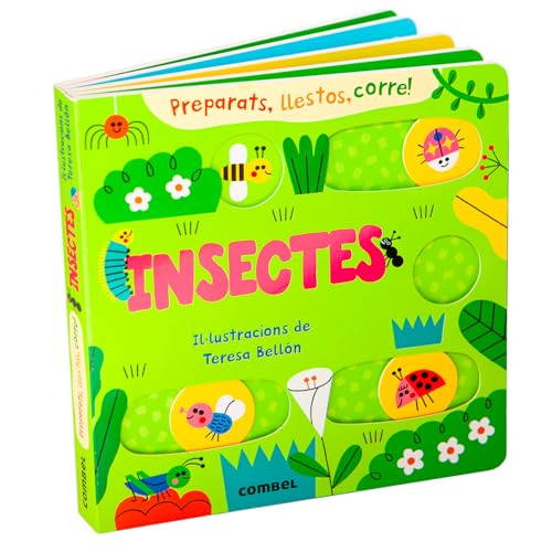 Insectes (Board Book)