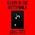 Flyboy in the Buttermilk: E...
