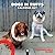 Shakespeare's Globe: Dogs in Ruffs Wall Calendar 2027 (Art Calendar)