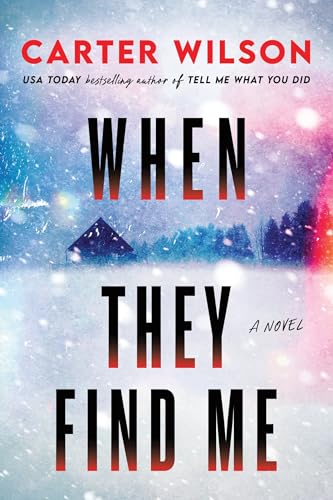 When They Find Me: A Novel (Paperback)