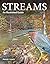 Streams: An Illustrated Guide