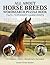 HORSE BREEDS WORD SEARCH 15...