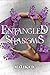 Entangled Shadows : A South Asian story of redemption, healing and finding love (The Shadows Book 2)