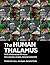 The Human Thalamus with a Mesoscale DTI Atlas: For Clinicians, Imagers and Basic Scientists (20230102)