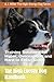 The High Energy Dog Handbook by A. J. Miller