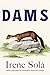 Dams: A Novel