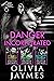 Danger Incorporated Books 1 - 3