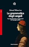 La grammatica deg...
