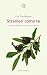 Stranieri come te: La nazione degli esclusi nel nuovo millennio (Italian Edition)
