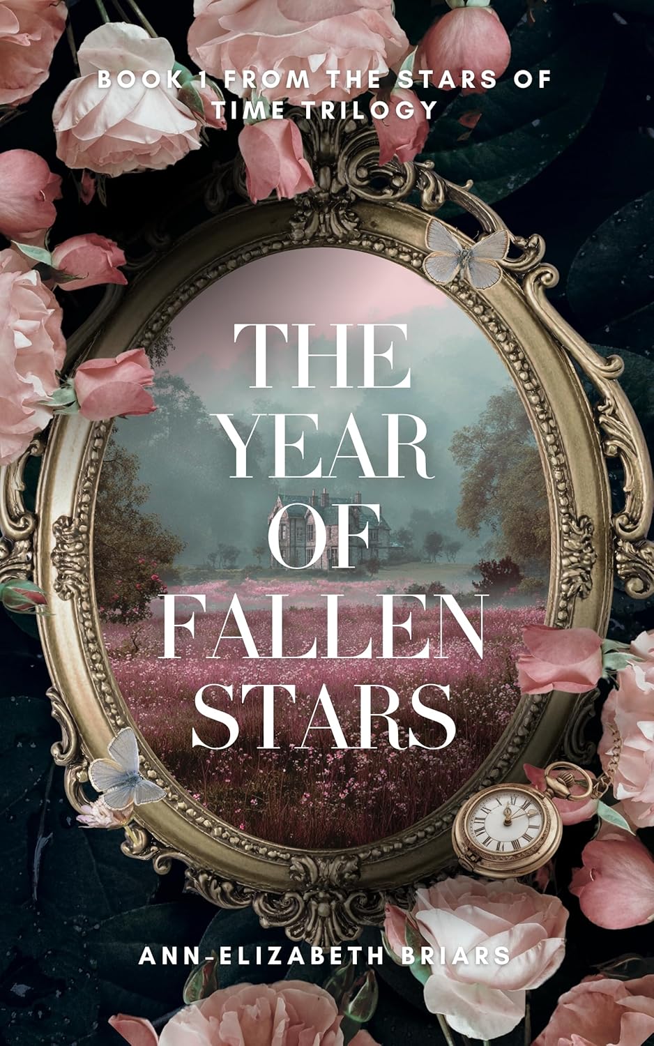 The Year of Fallen Stars (The Stars of Time #1)