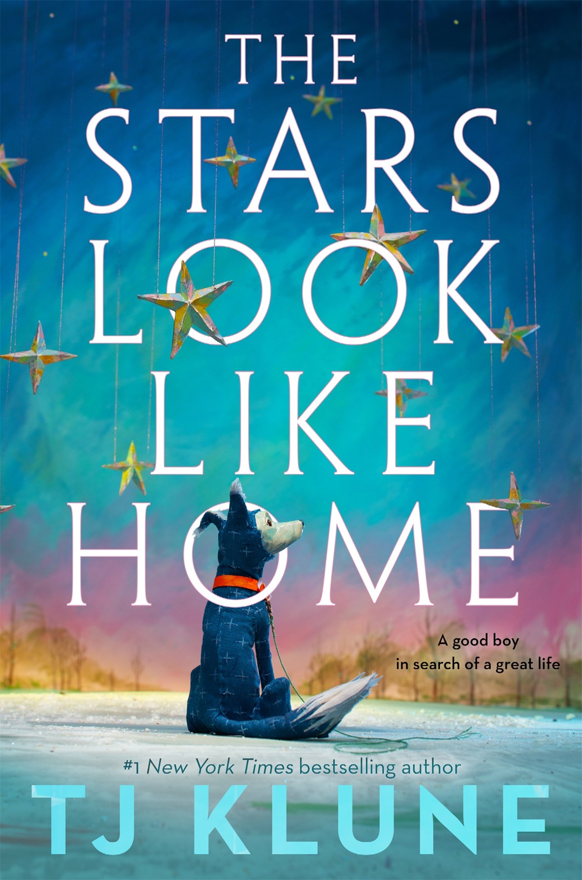 The Stars Look Like Home (Hardcover)