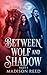 Between Wolf and Shadow: A Cozy Gothic Paranormal Romance (The Ravenmoor Chronicles Book 1) (The Wolf’s Shadow Trilogy)