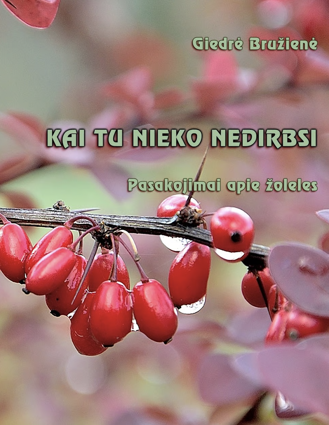 Kai tu nieko nedirbsi: pasakojimai apie žoleles