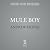 Mule Boy