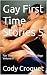 Gay First Time Stories: Fun...