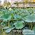 Psalms 101-150 by World English Bible