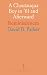 A Chautauqua Boy in '61 and Afterward by David B. Parker