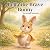 Bella the Brave Bunny