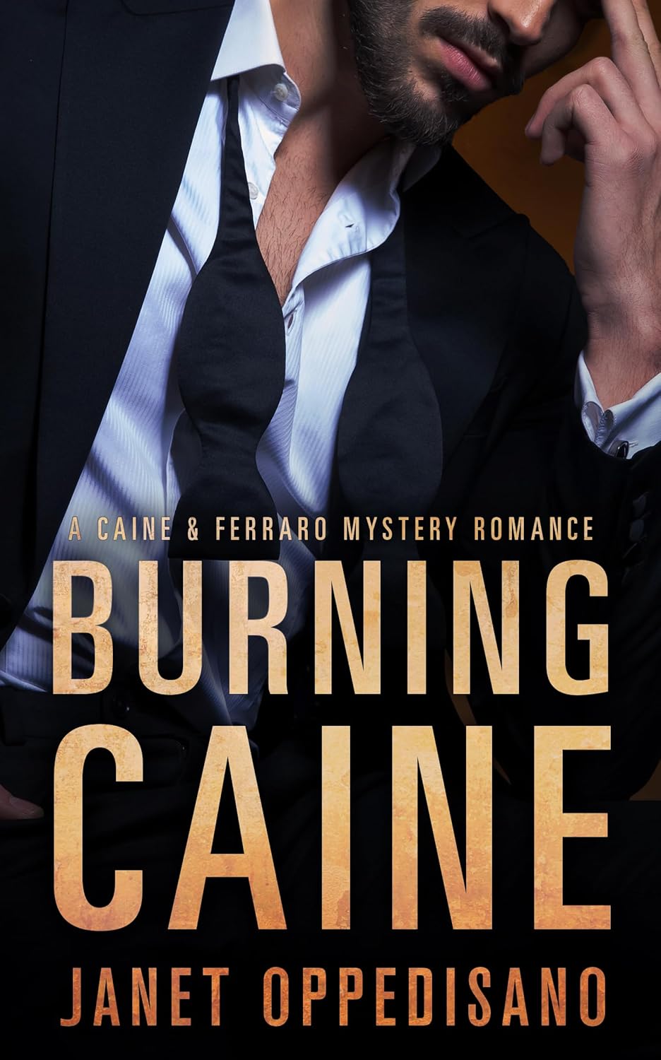 Burning Caine (Caine & Ferraro #1)