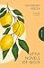 Little Novels of Sicily (Pushkin Press Classics)
