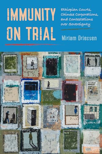 Immunity on Trial: Ethiopian Courts, Chinese Corporations, and Contestations over Sovereignty (Kindle Edition)