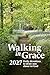Walking in Grace 2027: Dail...