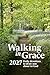 Walking in Grace 2027 Pocke...