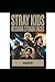 Stray Kids: Nessuna strada ...