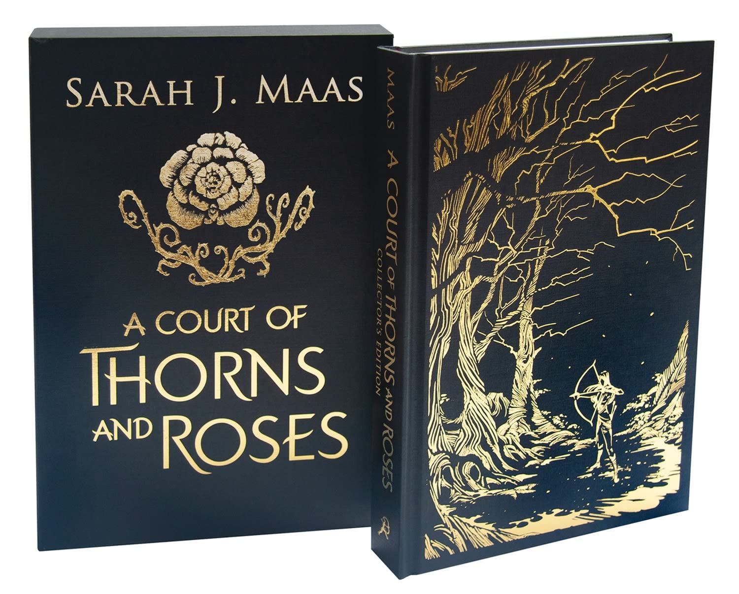 A Court of Thorns and Roses (A Court of Thorns and Roses, #1)