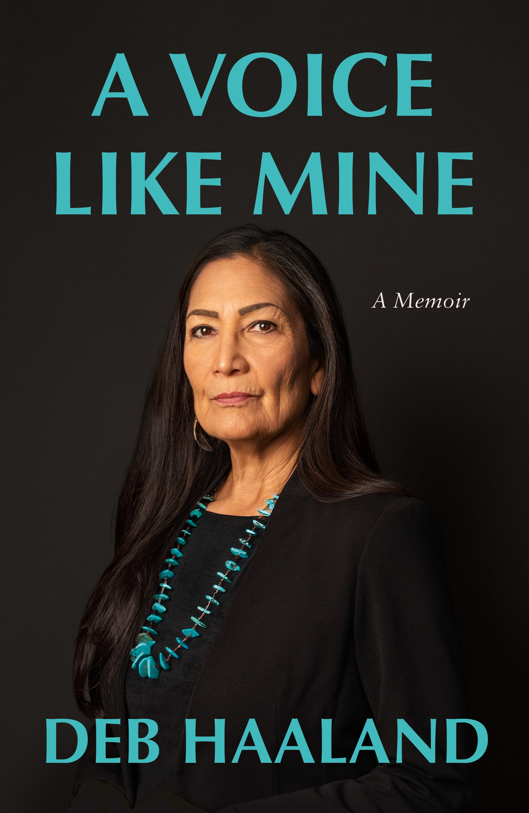 A Voice Like Mine (Hardcover)