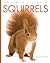 Squirrels (Amazing Animals)