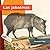 Las jabalinas