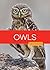 Owls (Odysseys in the Wild)