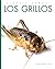 Los grillos