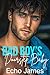 Bad Boy's Doorstep Baby: A ...