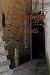 Bread and Roses: "A Novel o...