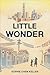 Little Wonder: A Novel (Thousand Voices)