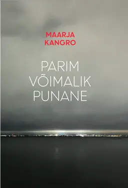 Parim võimalik punane (Paperback)