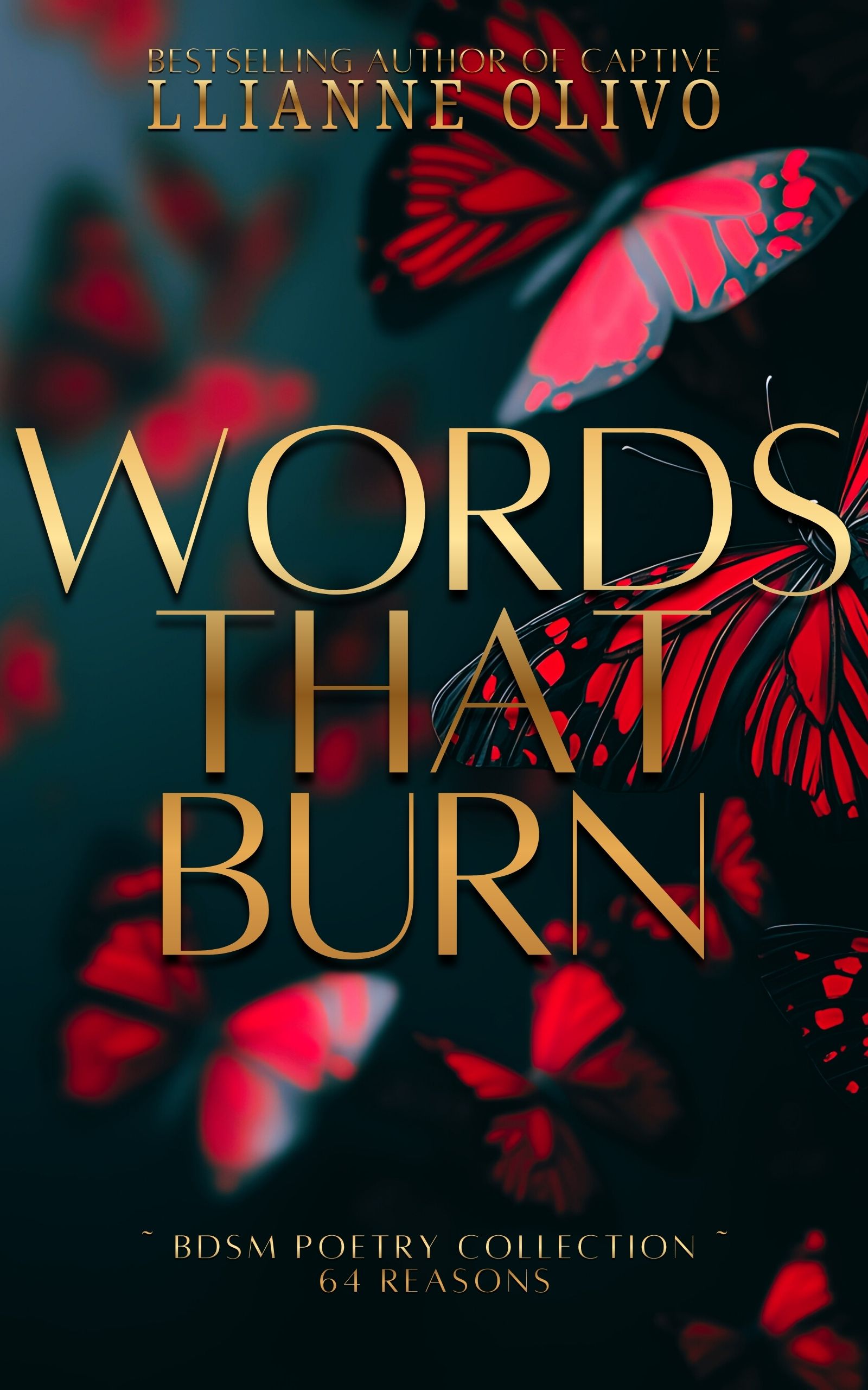 Words That Burn: 64 Reasons: A Collection of 64 Erotic BDSM Poems (BDSM Poetry Collection Book 1)