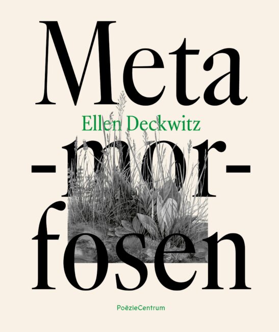 Meta-mor-fosen (Paperback)