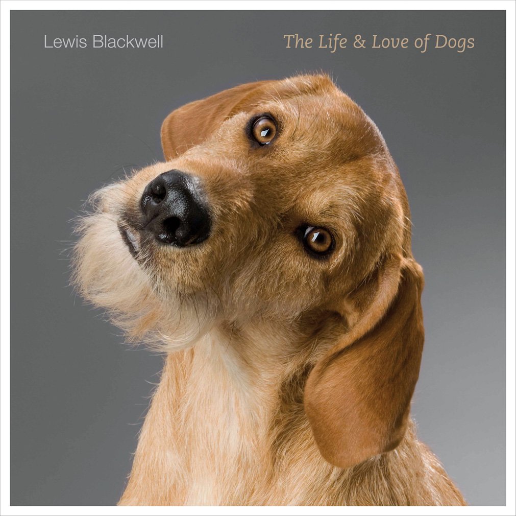 The Life & Love of Dogs (Hardcover)