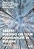 BBEPX! Building on Your Foundations in Russian: Volume Two